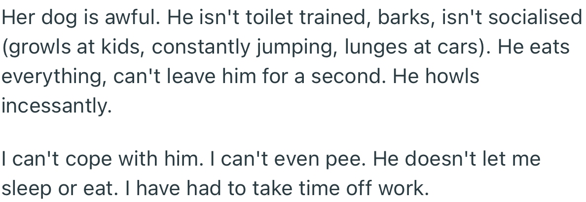 According to OP, her sister’s dog has been a menace ever since she started caring for it