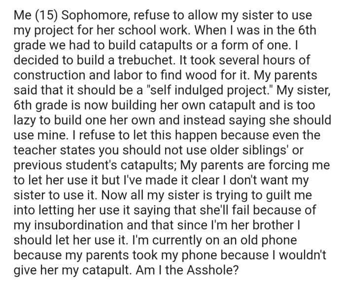 OP explained that when he was in 6th grade, he built a trebuchet for his school project. Now his sister is in 6th grade and has been asked to do the same project. However, she's too lazy to build hers and is insisting on submitting his old project instead.