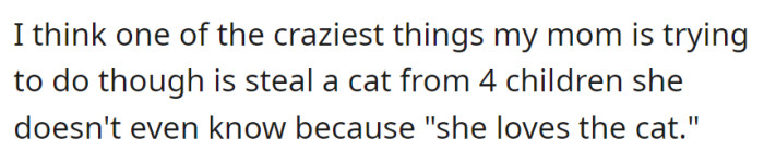 Her mom's attempting to take a cat from four unknown children simply because she fancies the cat.