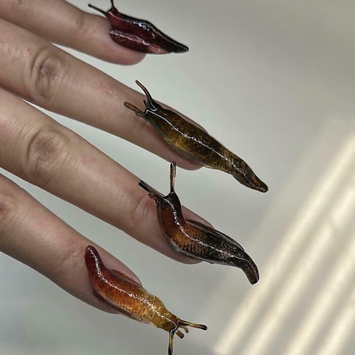 "Slug Nails"