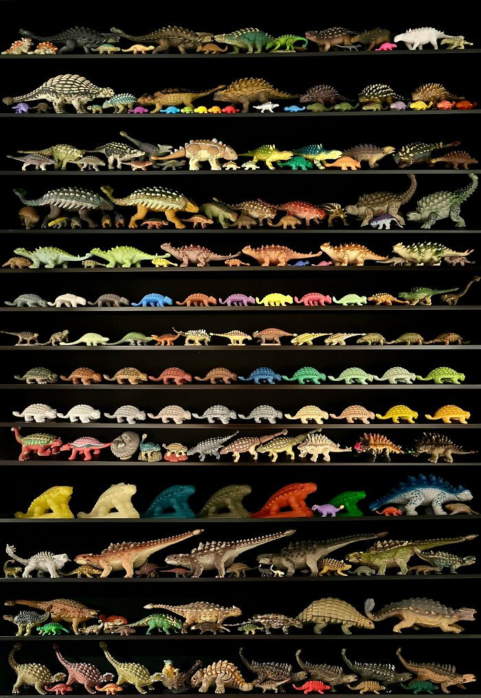 "Sharing My Ankylosaurus Collection"