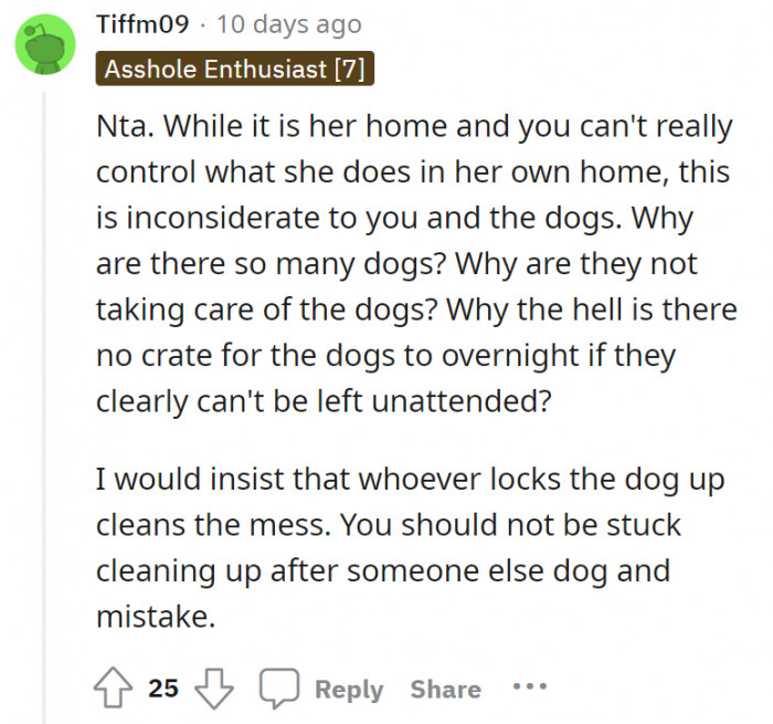 The dogs—why are there so many? And why is OP the one to clean up the mess when this chaos was not decided by them?
