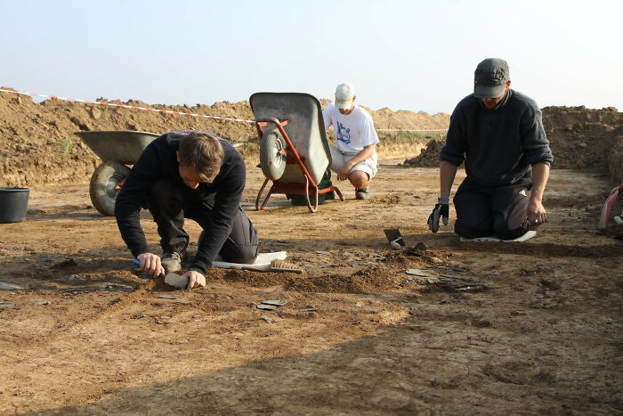 Archaeologist, specifically field archaeology.