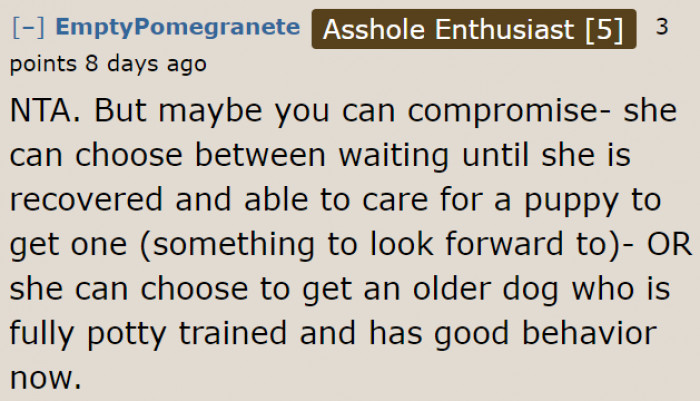 The OP can promise to get a dog after the surgery so the daughter can have something to be excited about.