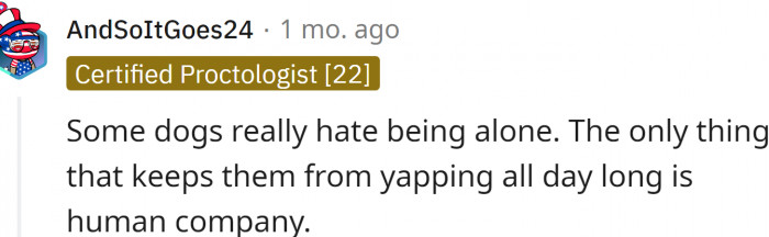 The only thing that keeps dogs from barking all day long is human company.