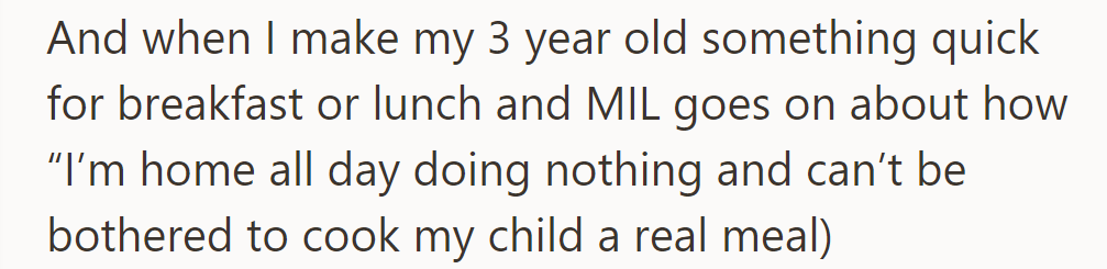 MIL criticizes her for not cooking elaborate meals for her 3-year-old, implying laziness despite her being at home all day.