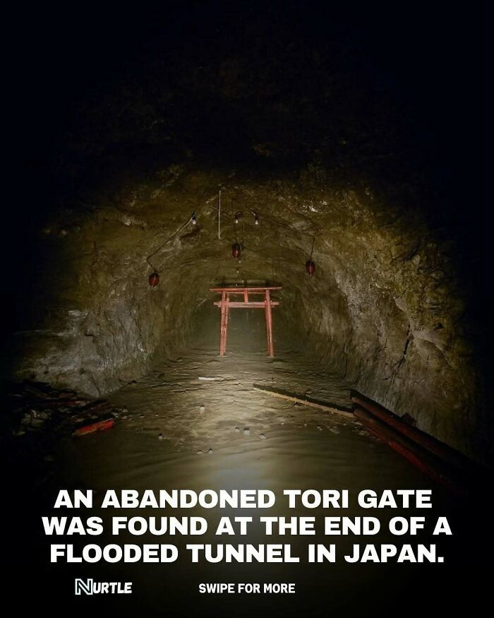The Hidden Torii of Kani