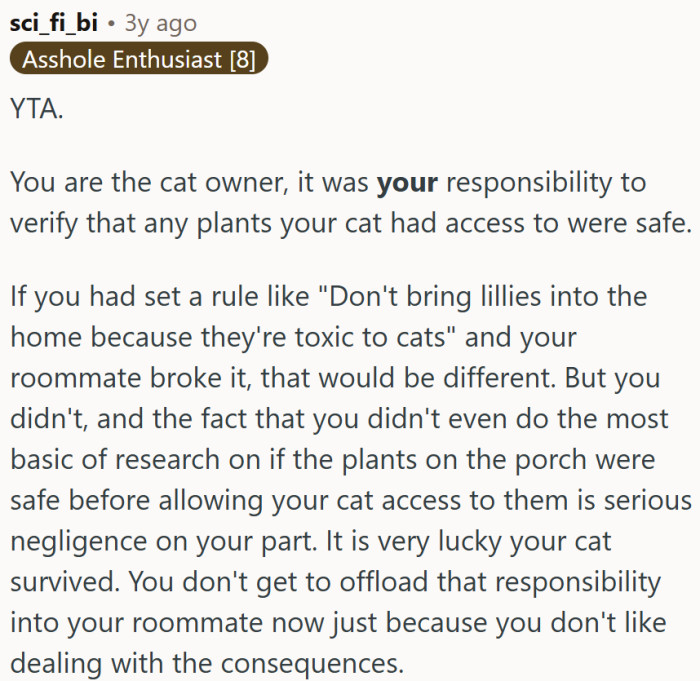 OP is the cat owner, and it is their responsibility.