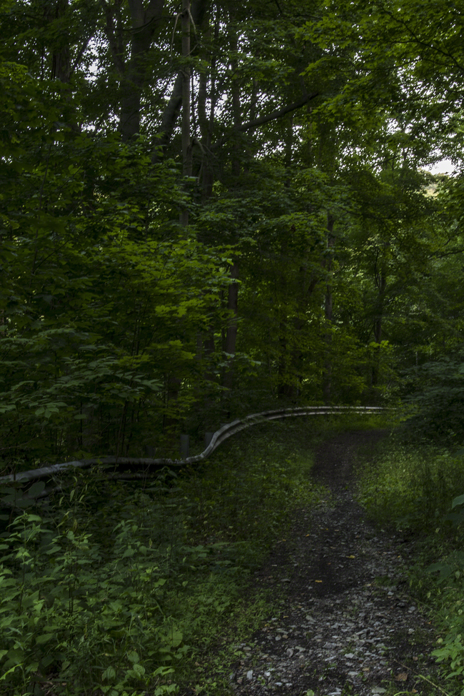 A rural Pennsylvania road being reclaimed by Mother Nature.