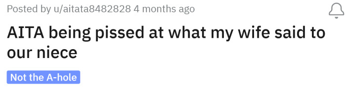 The Redditor asked if he's an a**hole for being upset about what his wife said to their niece.