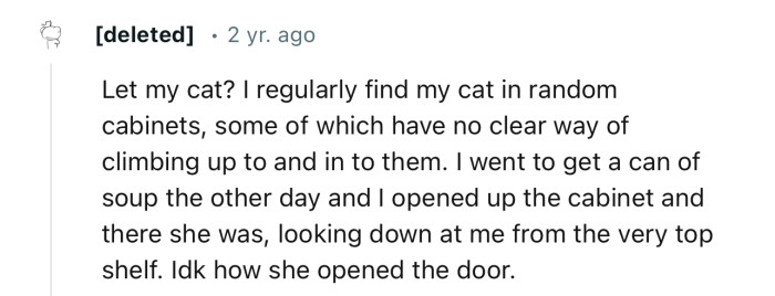 “Let my cat? I regularly find my cat in random cabinets, some of which have no clear way of climbing up to.”