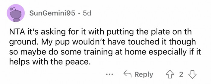 8. Do some training.