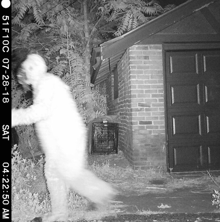 "My friend played a prank on his girlfriend. She has a night vision motion-activated camera setup in a quest to treat a sick coyote. She checks the footage every morning religiously. He rented a Sasquatch outfit and walked around the camera at 4 a.m."