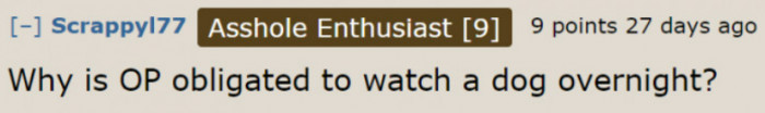 No matter what the situation is, it's not the OP's responsibility to pet sit for the dog.