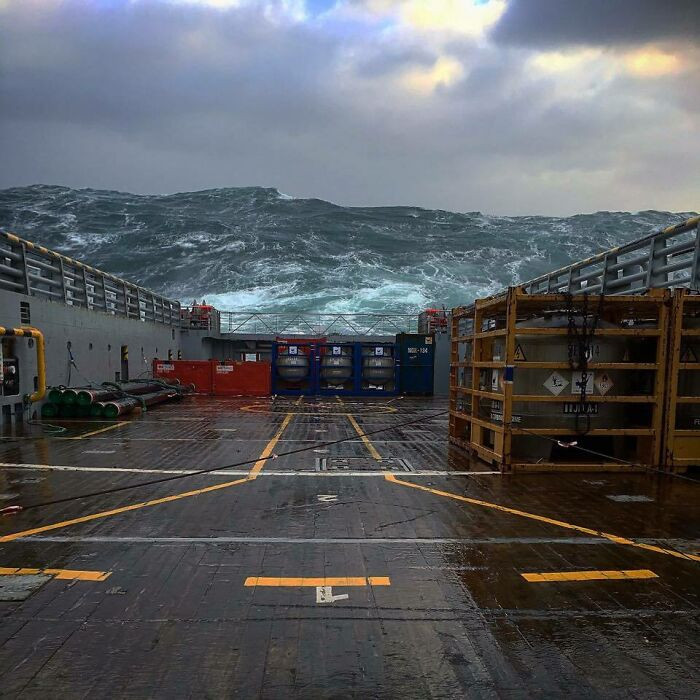 "Extreme Waves In The North Sea"