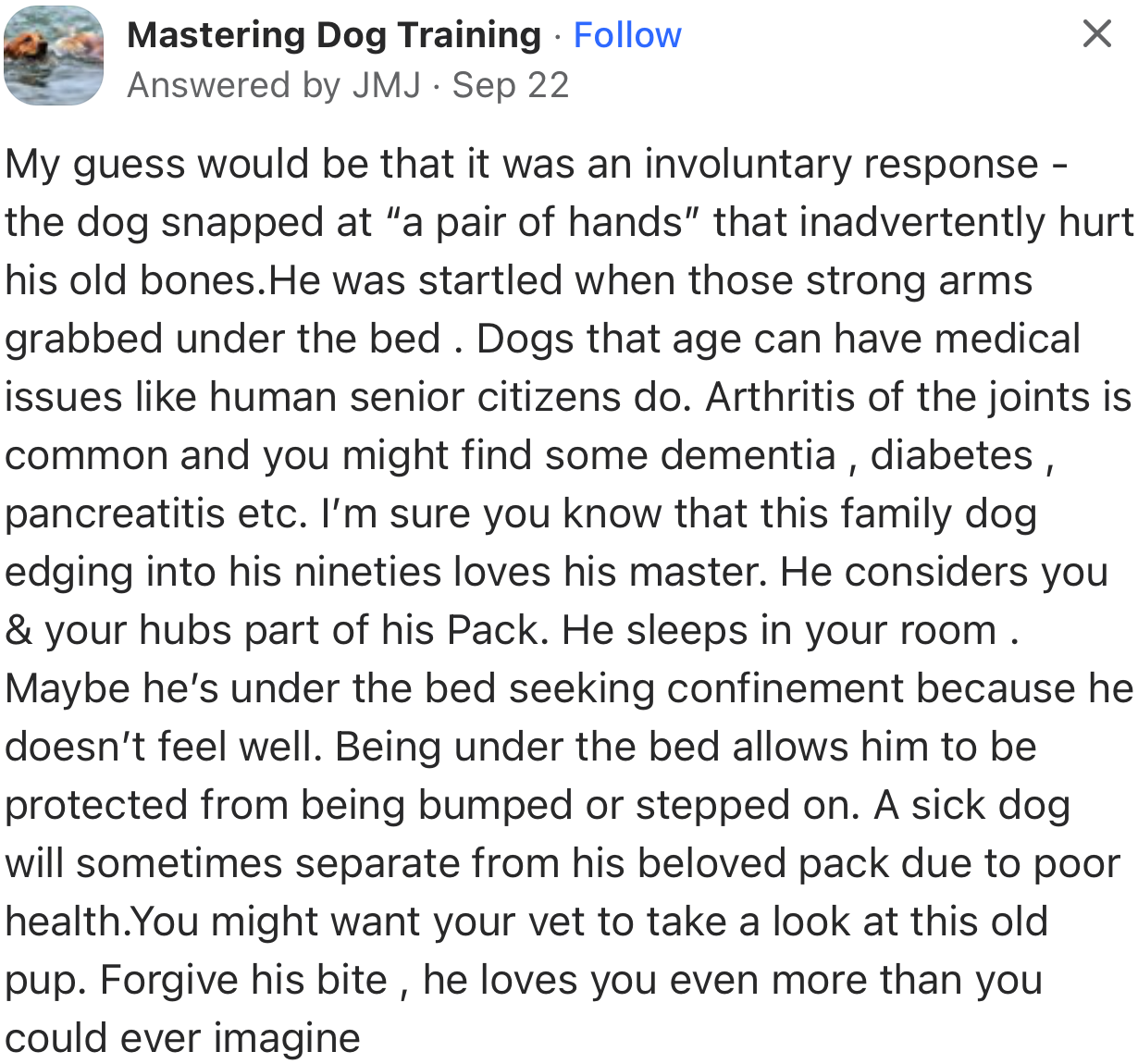 “Dogs that age can have medical issues like human senior citizens do. Forgive his bite; he loves you even more than you could ever imagine.”