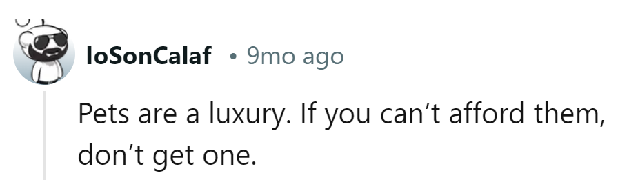 If pets were currency, they'd be priceless. But alas, the vet bill is the tax!