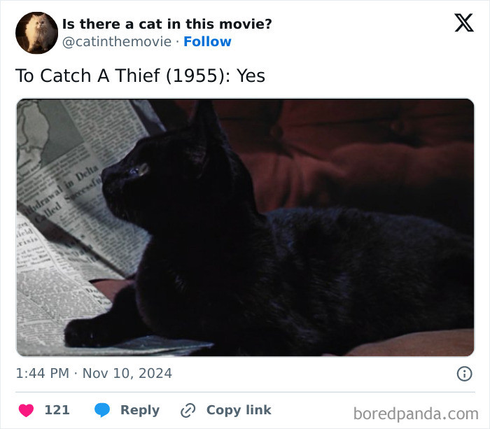 To Catch A Thief