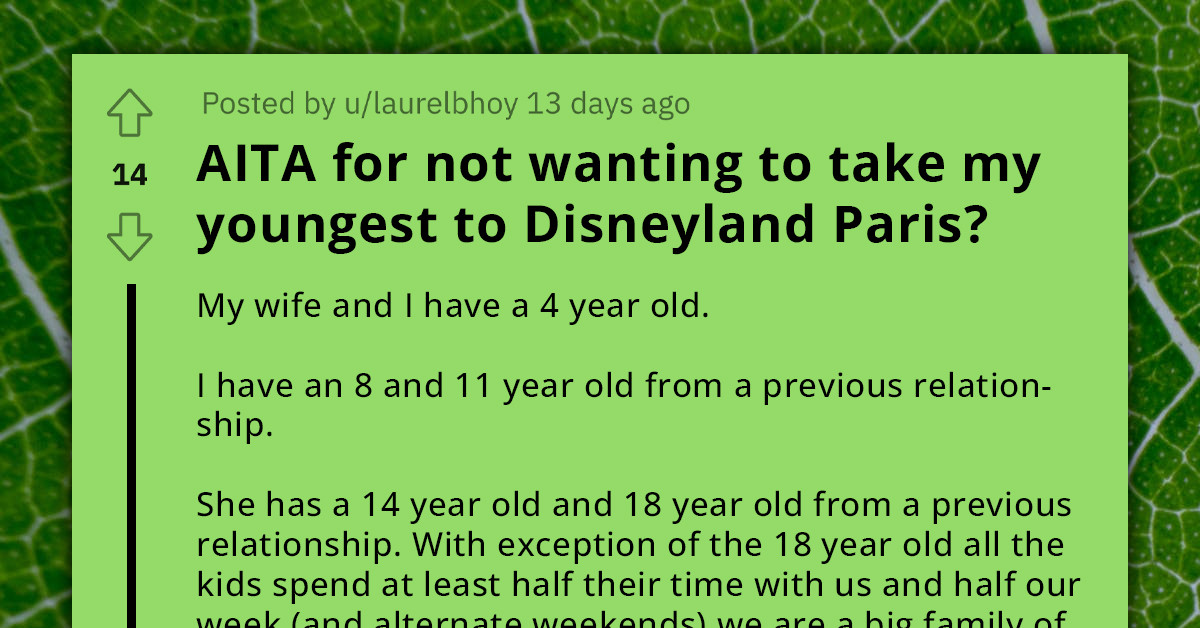 Father Refuses To Take His 4 Y.O. To Disneyland To Avoid Making Older Kids From Past Relationships Feel Excluded