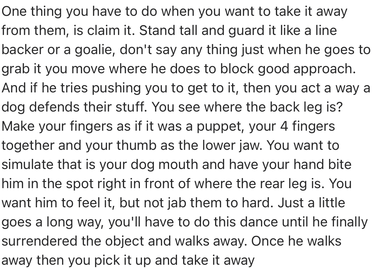 Once You Succeed in Taking Something Away from the Dog, Stand Tall and Guard It
