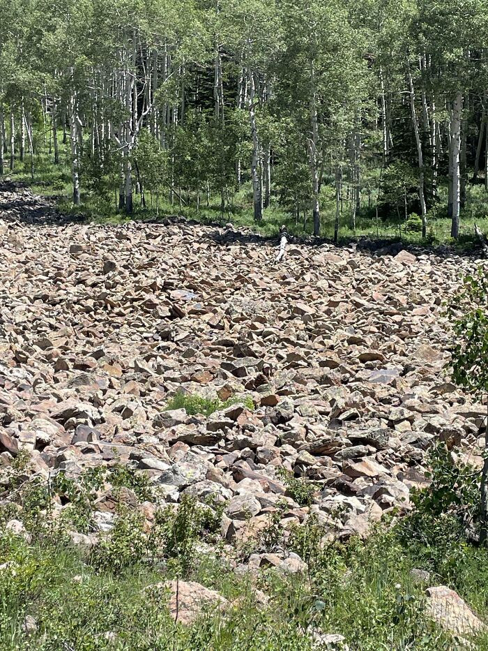 "Find my girlfriend on the rocks."