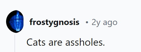 Furry little dictators with attitude problems.