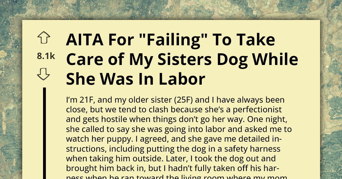 Lady Falls Out With Her Perfectionist Pregnant Sister About Her Dog, Gets Banned From Meeting The Newborn