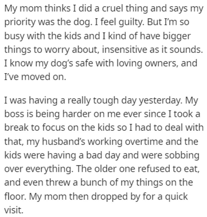 OP's mother hates the fact that they found a new home for the dog, saying it was a cruel thing to do