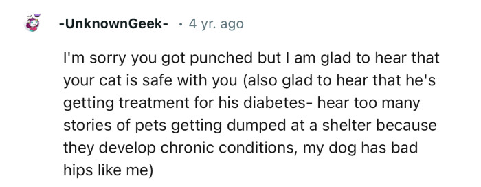 “I'm sorry you got punched, but I am glad to hear that your cat is safe with you.”