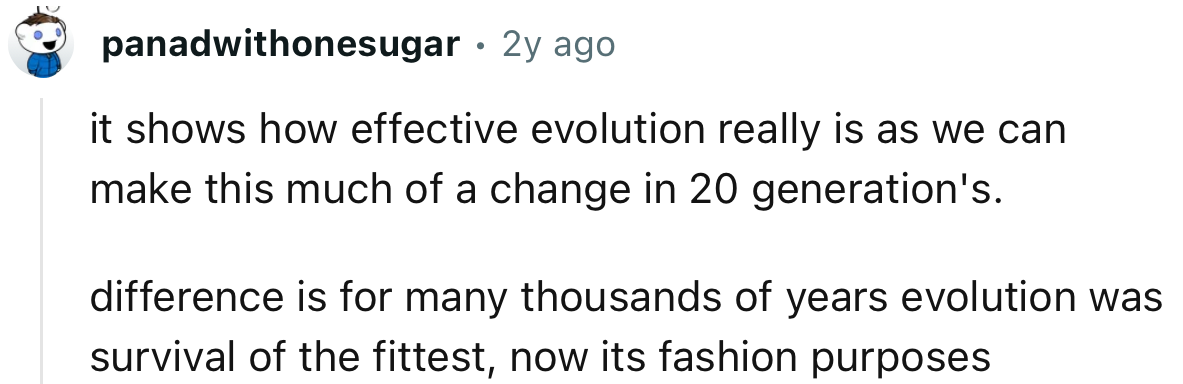 For many thousands of years, selective breeding was aimed at making dogs fitter and healthier; now it's for fashion purposes