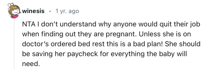 “NTA…I don’t understand why anyone would quit their job when finding out they are pregnant.”
