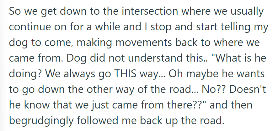 At the usual intersection, they tried to turn back, confusing their dog, who begrudgingly followed.