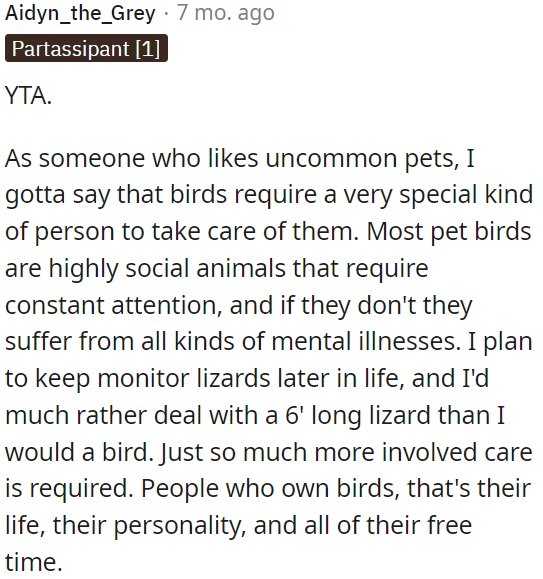 Birds require a lot of attention and care, and owning them becomes a significant part of one's life.