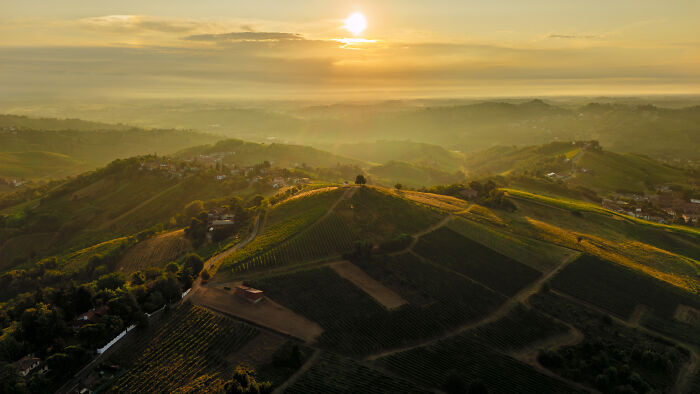 Louis Jadot Wine Photographer Of The Year, Places: A Bird's Eye View Of The Hill By Alessandro Anglisani
