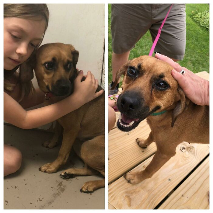 "When We Met Her In The Shelter My Daughter Immediately Started Whispering In Her Ear “Your Okay, We’ll Take You Home And Keep You Safe, We Love You Already”