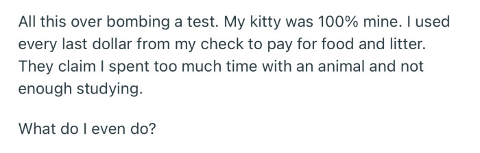 OP’s parents feel that she spends more time catering to her cat than studying