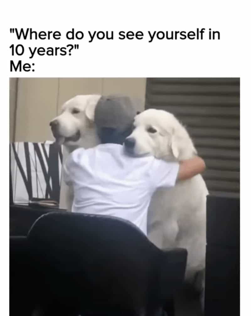 24. There’s no other correct answer.