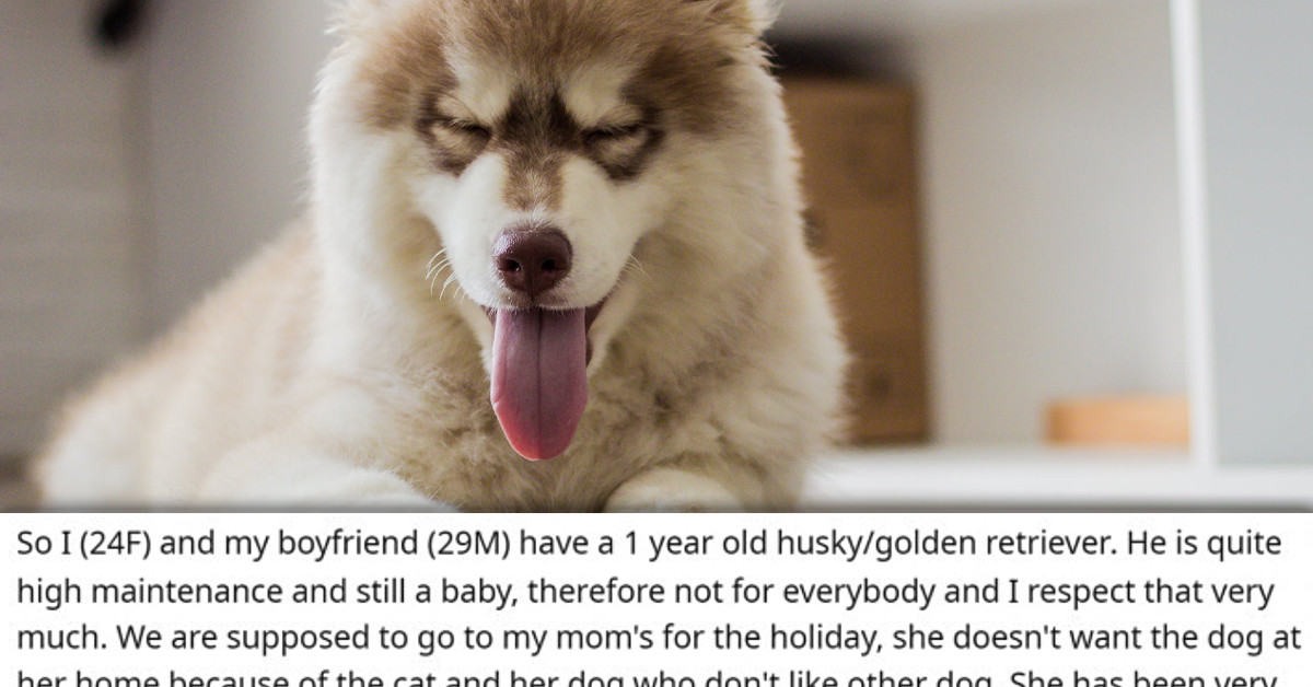 Girl Wants To Leave Puppy With A Friend For The Holidays, But Her BF Is Not On Board At All