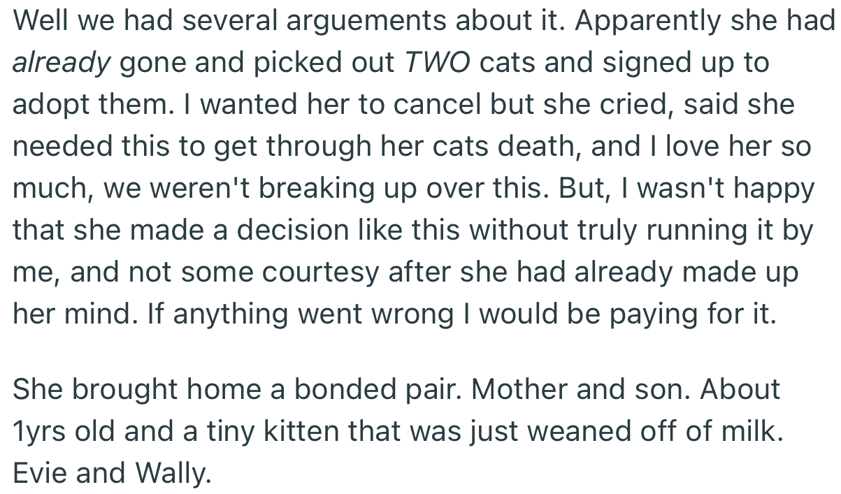 OP later discovered that their girlfriend had gone behind their back and signed up to adopt two cats