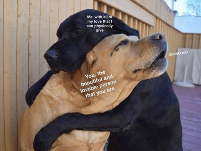 23. Few things in life are as genuinely precious as dog hugs.