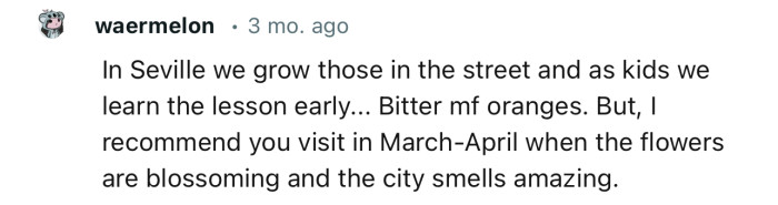 “In Seville, we grow those in the street, and as kids, we learn the lesson early... Bitter mf oranges.”