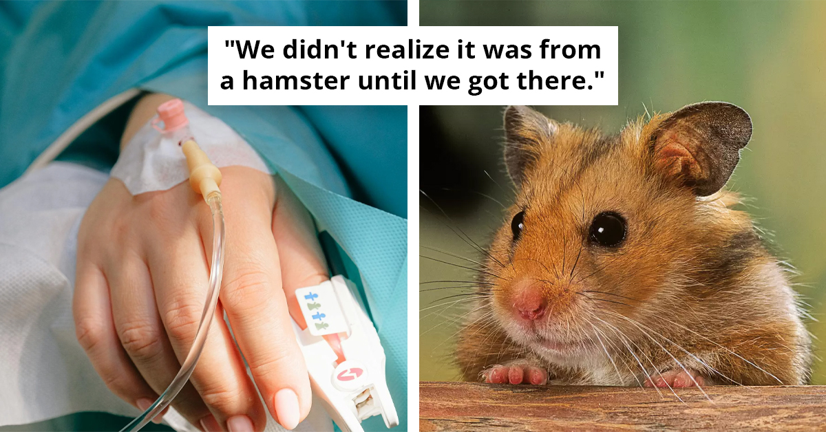 Mother Collapses And Dies After Pet Bite In Front Of Her Children