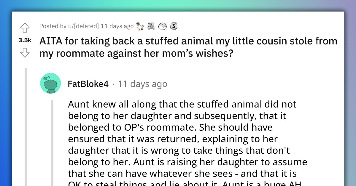 Redditor Slammed For Taking A Toy From Her 4-Year-Old Cousin Who Stole It From Her Roommate