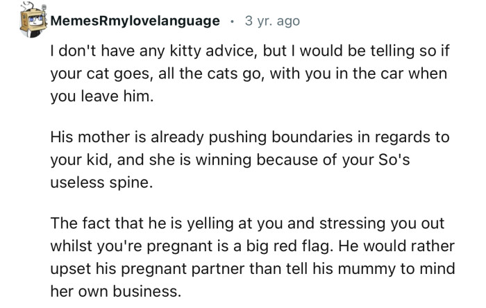 “The fact that he is yelling at you and stressing you out while you're pregnant is a big red flag.”
