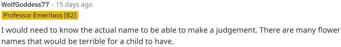 A lot of people are saying they need to know the name to see if OP is the asshole or not, but personally, I think you can name your kid whatever you want.