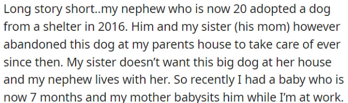 OP's nephew adopted a dog in 2016, but he left the dog with OP's parents. Meanwhile, OP's mother babysits OP's 7-month-old baby while she is at work.