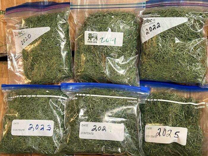 "Our Artificial Christmas Tree (Bought 1998) Was Shedding So Many Needles We Started Collecting"