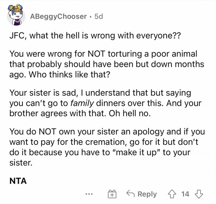 #4 You definitely do not owe your sister an apology.