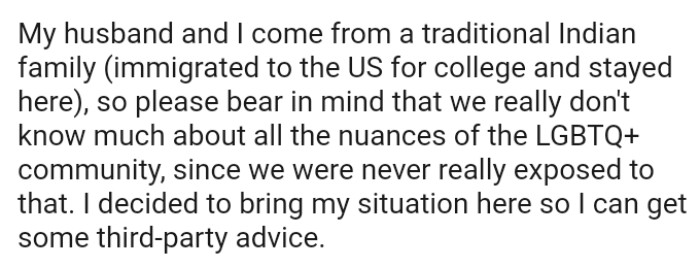 The OP and Her Husband Are Unfamiliar with the Nuances of the LGBTQ+ Community, as They Were Never Exposed to It