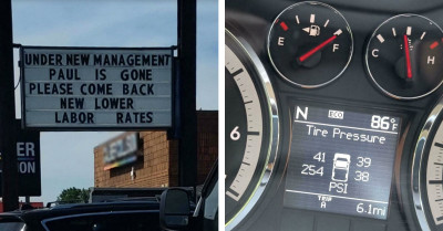 81 Times Mechanics Encountered Things So Amazing They Had To Pull Out Their Cameras